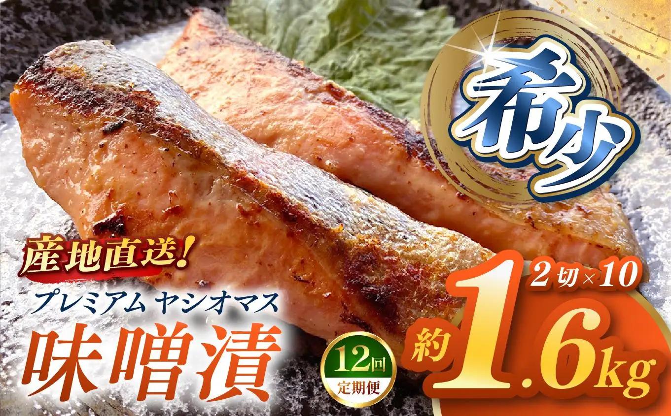 【定期便12回】「プレミアムヤシオマス」の味噌漬 2切入×10パック  [ 冷凍便 ] | 魚 ます 養殖 産地直送 栃木県 (毎月お届け）