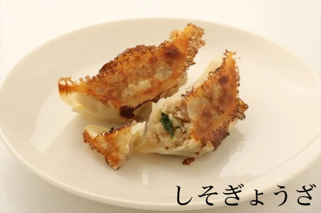 生餃子専門店「新家」の生餃子60個としそ餃子30個セット