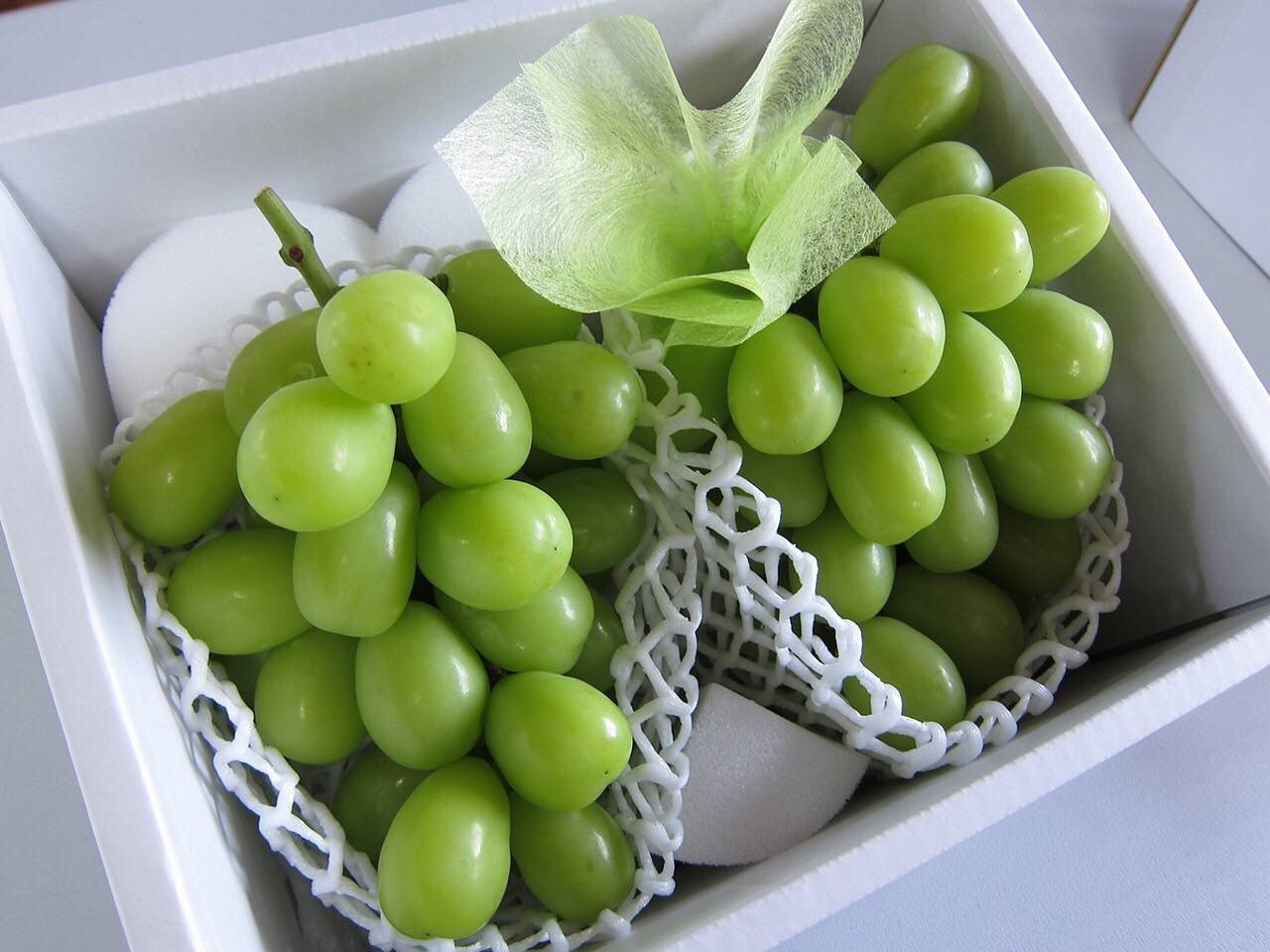 シャインマスカット