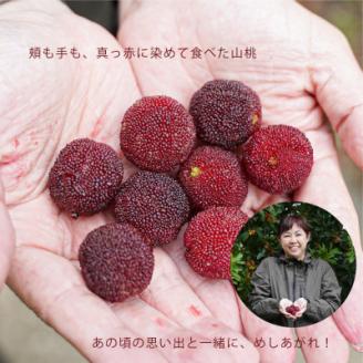 プレミア和歌山認定品(※)　熊野やまももしろっぷ　1本(235g)