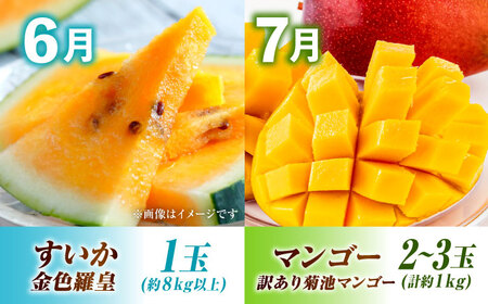 【先行予約】【全6回定期便】果物ざんまい定期便[AYZZ007]