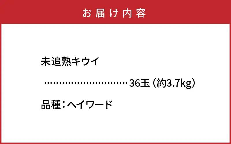 未追熟キウイフルーツ 扁平型 36玉(約3.7kg)_2753R