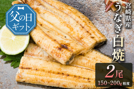父の日対応「玄人の一品」うなぎ 白焼き ギフト 2尾（150～200g/1尾あたり）宮崎県産鰻 蒲焼きタレ付（50ml×1本）配送日指定可 国産 有頭 熨斗 贈答品【N54-25】