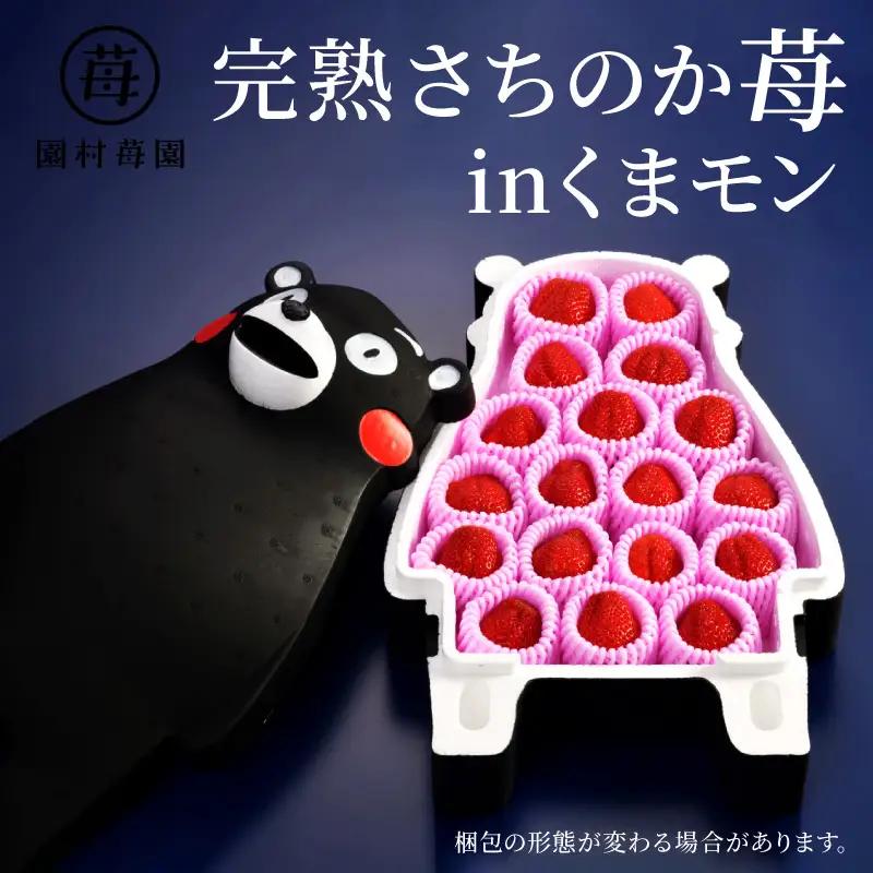 【先行受付】2月発送 園村苺園 完熟さちのか苺 in くまモン_約500ｇ_U74-0052_02