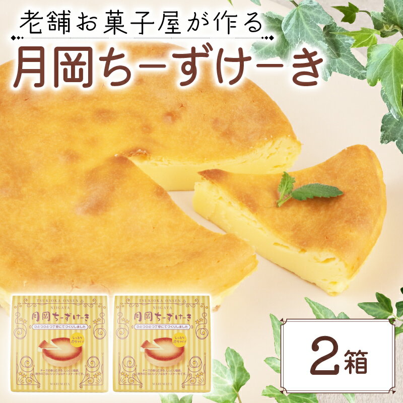 【ふるさと納税】 チーズケーキ 2箱 先行予約 手作り お土産 お取り寄せ 常温 チーズ ケーキ お菓子 洋菓子 おやつ デザート まるまた 老舗 月岡温泉 月岡物産 月岡ちーずけーき 新潟 新発田 seida028
