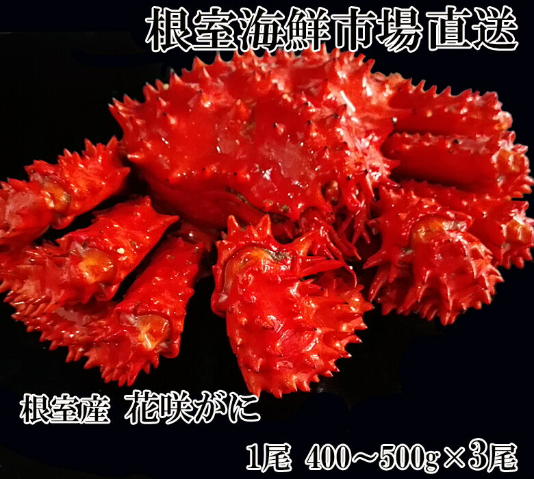 【ふるさと納税】[北海道根室産]花咲ガニ400～500g×3尾 B-11119