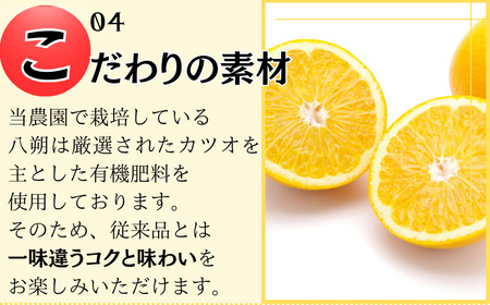 果汁 ジュース 八朔ジュース オレンジジュース  ドリンク セット 有機 無添加 100% / きみの八朔ジュース 180mL×6本【kmf006】