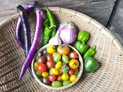 【全4回定期便】那須ブランド 那須高原野菜セット（隔月1回／5月～11月）｜ 野菜 お野菜 新鮮 詰め合わせ やさい みずみずしい 美味しい 自然 栃木県 那須町〔P-67〕※北海道・沖縄・離島への配