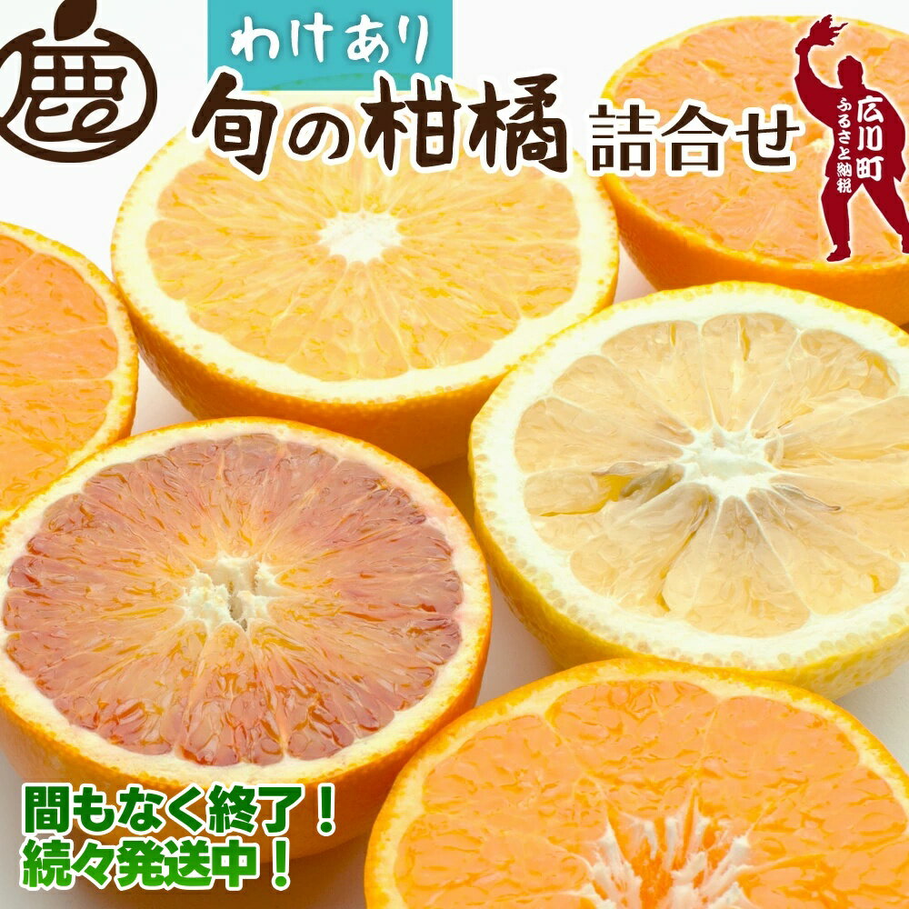【ふるさと納税】 柑橘 詰合せ 訳あり 光センサー / みかん 不知火 清見 八朔 伊予間 セミノール レモン 3種類以上 詰め合わせ 晩柑 5000円 8000円 5kg 10kg ※1月上旬〜6月下旬に順次発送 ※北海道・沖縄・離島への配送不可 //hassaku