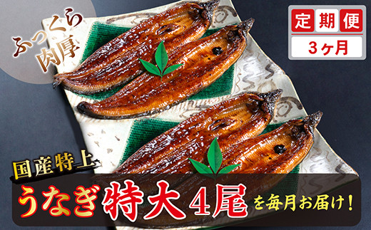 【定期便３回】国産！特上うなぎのかば焼き 約250g × 4尾 × 3回お届け （毎月お届け）