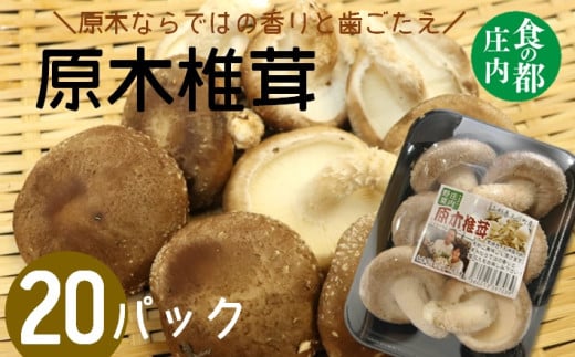 食の都庄内　原木しいたけ（まさに木の子）20パック