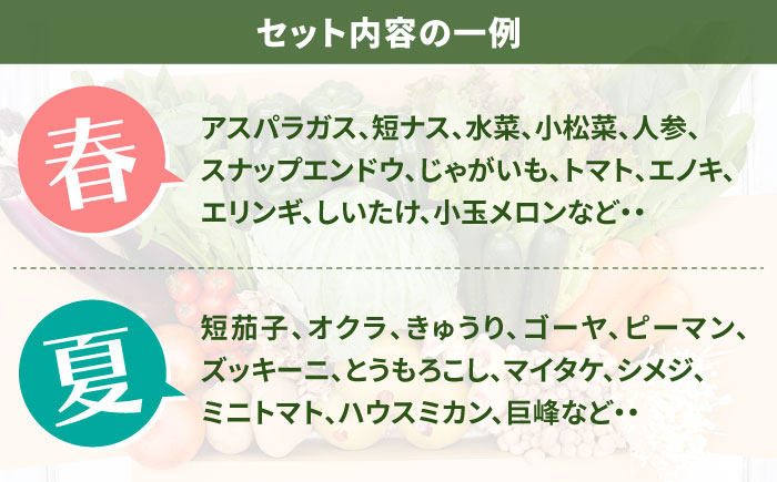 【毎月24回コース】豪華！野菜 セット 15品目以上 24回 定期便 / 野菜 フルーツ きのこ 詰め合わせ 南島原市 / 吉岡青果 [SCZ003]