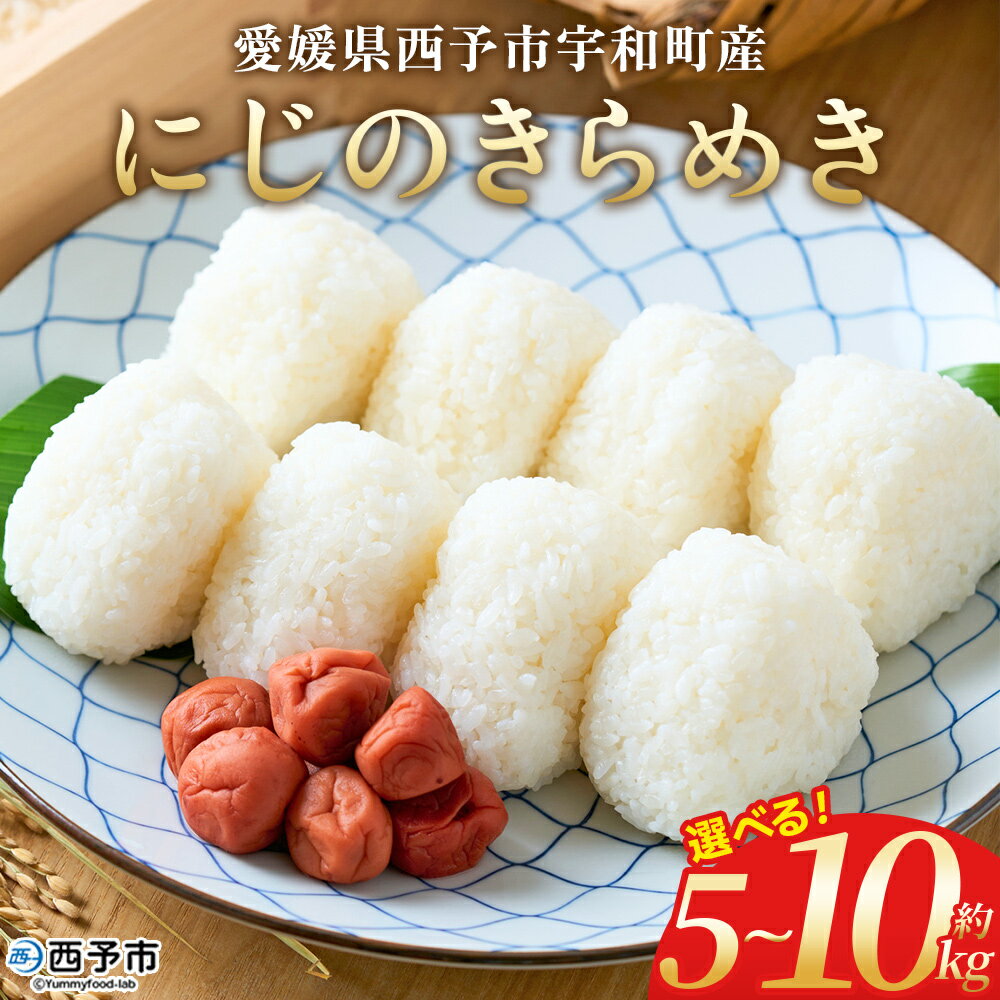 【ふるさと納税】新米＜令和7年産 にじのきらめき 約5kg/10kg＞ 選べる 5キロ 10キロ ニジノキラメキ 米 お米 コメ こめ 白米 精米 ご飯 ライス 大粒 穀物 西予応援米 特産品 宇和町産 前田農園 愛媛県 西予市【常温】『2025年10月から12月迄に順次出荷予定』