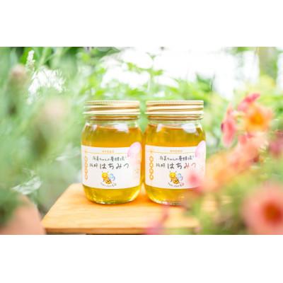 ふるさと納税 稲美町 五つ星ひょうご認定品 稲美町産 純粋はちみつ 480g×2個セット