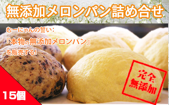 無添加メロンパン詰め合せ　15ヶ入り No.009