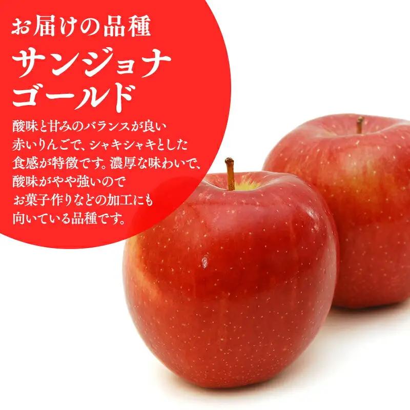 りんご 家庭用 サンジョナゴールド 約3kg 青森県平川市産　[hi-0036-004]