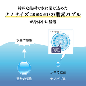 酸素ナノバブル水 富士登山水 500ml × 24本 富士山伏流水 酵素 バナジウム シリカ ミネラルウォーター 軟水 登山 スポーツ 備蓄 防災 健康 飲料 【最短3日発送】 [sf025-001]