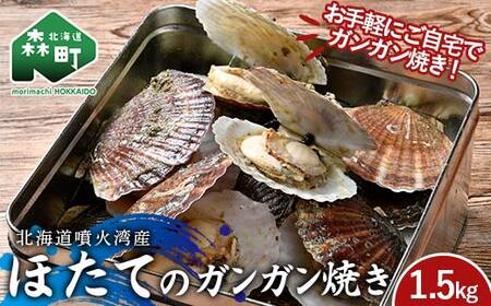 冷凍ほたて(二年貝) ガンガン焼き1.5kg 北海道噴火湾産 海産物 加工品 ほたて 帆立 ホタテ 魚介類 海鮮 森町 ふるさと納税 mr1-0980