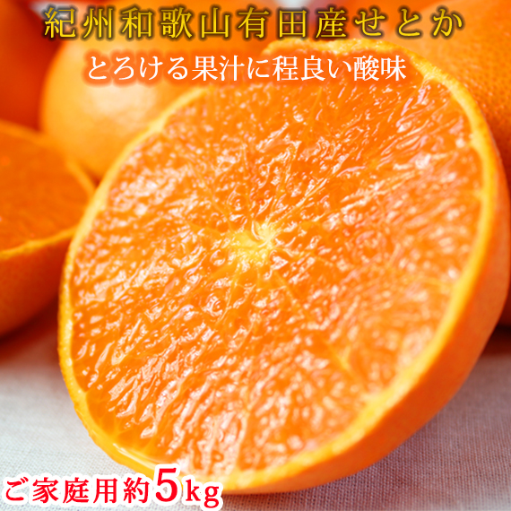 とろける食感!ジューシー柑橘 せとか 約5kg 【家庭用 訳あり】｜みかん ミカン 柑橘 果物 くだもの フルーツ せとか 甘い 先行予約 国産 産地直送 人気 美浜町 ※2026年2月上旬～3月中旬頃に順次発送予定