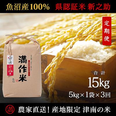 ふるさと納税 津南町 【毎月定期便】農家直送【特栽魚沼産新之助 精米 合計15kg】5kg(5kg×1袋)全3回