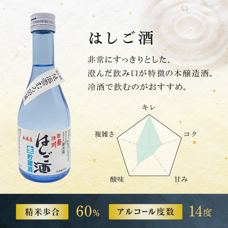 【先行予約】【栄川酒造】日本酒飲み比べセット(300ml×5本) F4D-0085