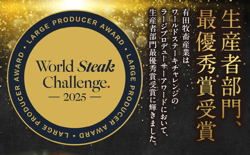 宮崎牛入有田ハンバーグ150g×5個と万能切落し500g 宮崎牛 和牛 黒毛和牛 国産牛 牛肉 ハンバーグ 牛100％ ハンバーグステーキ 切り落とし 切落し 万能切落し 霜降り 赤身 混在 有田牧畜