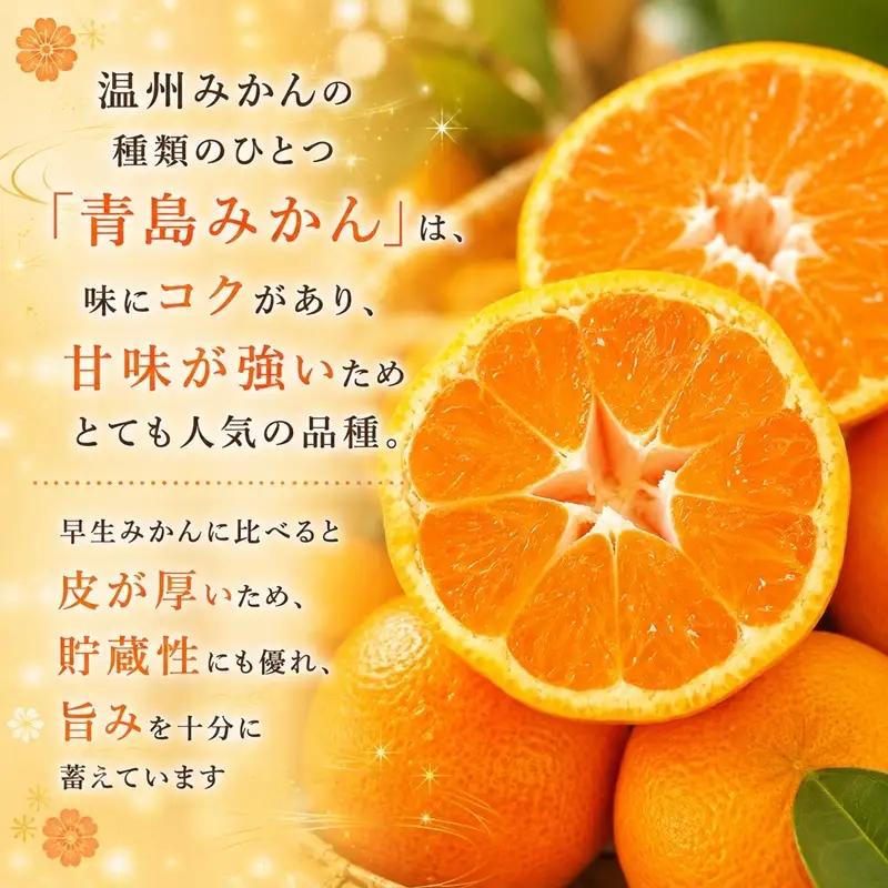 最短翌日～5営業日以内発送 三ヶ日 青島みかん エキストラライト シロップ漬  2本（900g×2本）【配送不可：北海道・沖縄・離島】 加工食品 瓶詰 果物 フルーツ コク 甘味 人気 特大 手作業 