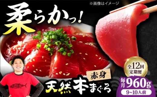 【全12回定期便】極上！たね熟天然本まぐろ赤身(960g) 天然 マグロ 鮪 赤身 刺身 魚 魚介 魚介類 海鮮丼 本マグロ 本まぐろ 本鮪 赤身 大トロ 冷凍 お刺身 お寿司 大阪府高槻市/本まぐろ直売所 [AOCE021] 本マグロ 刺身 寿司 海鮮 旨み 切り身 鮮度抜群 海鮮丼 お取り寄せ 高級魚 ギフト 贈答用 海の幸 家飲み ごちそう おつまみ 炙り丼 手巻き寿司 お祝い パーティー