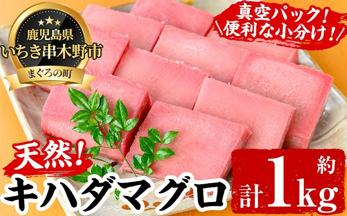天然キハダマグロ(約1kg) 柵でお届け！肉厚のお刺身や海鮮丼に！まぐろ 鮪 魚介 刺し身 【海鮮まぐろ家】【B-347H】