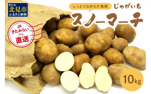 【予約：2026年10月中旬から順次発送】JAきたみらいから直送する新鮮じゃがいも「スノーマーチ」10kg ( 野菜 期間限定 北海道 )【104-0003-2026】