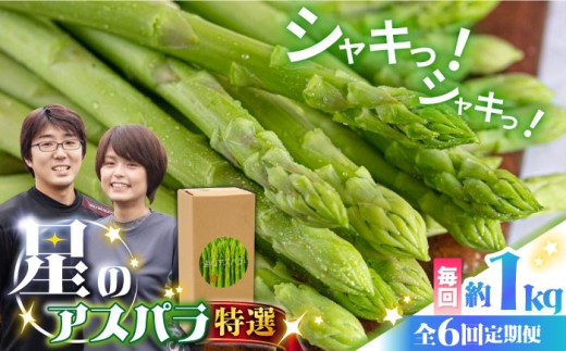 アスパラ【6回定期便】【星のアスパラ】春＆夏 の グリーン アスパラガス 約1kg / アスパラ 春野菜 野菜 アスパラ アスパラガス あすぱら あすぱらがす 新鮮 産地直送 野菜 人気 旬 春 おいしい / 南島原市 / ほしのYA [SEY011]