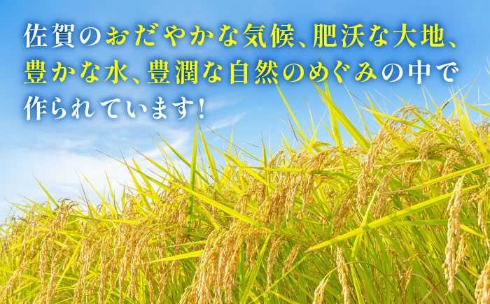  夢しずく 白米 6kg 特A こめ コメ 精米 国産 お米 ごはん 米 お米 白米