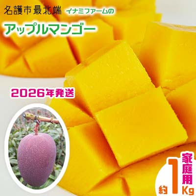 【ふるさと納税】【2026年発送】名護市最北端イナミファームの家庭で楽しむアップルマンゴー 約1kg フルーツ 果物 期間限定 数量限定 マンゴー 南国 プレゼント お土産 おみやげ ギフト くだもの 沖縄 おきなわ 青果 デザート おすすめ 人気 冷蔵 夏 スイーツ