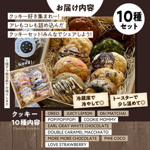 クッキー10種セット  クッキー 焼菓子 洋菓子 チョコレート 抹茶 バニラ オレオ レモン ホワイトチョコ キャラメル イチゴ パイン 奈良県 生駒市 送料無料