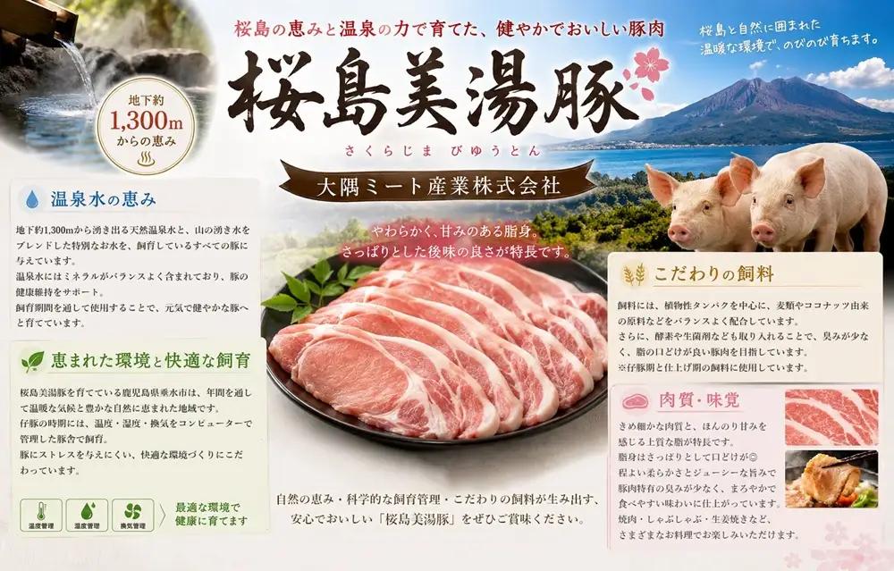 A1-0449／桜島美湯豚　ひと口餃子 10P（計150個）