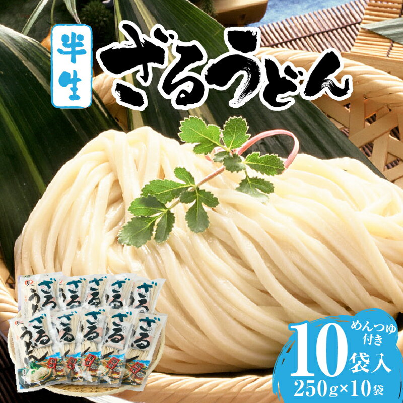 【ふるさと納税】ざるうどん半生10袋入（つゆ付） うどん さぬきうどん 讃岐うどん ざるうどん 細麵 半生うどん コシ めんつゆ付き かけ 釜あげ ぶっかけ 伝統 香川 半生 三木町