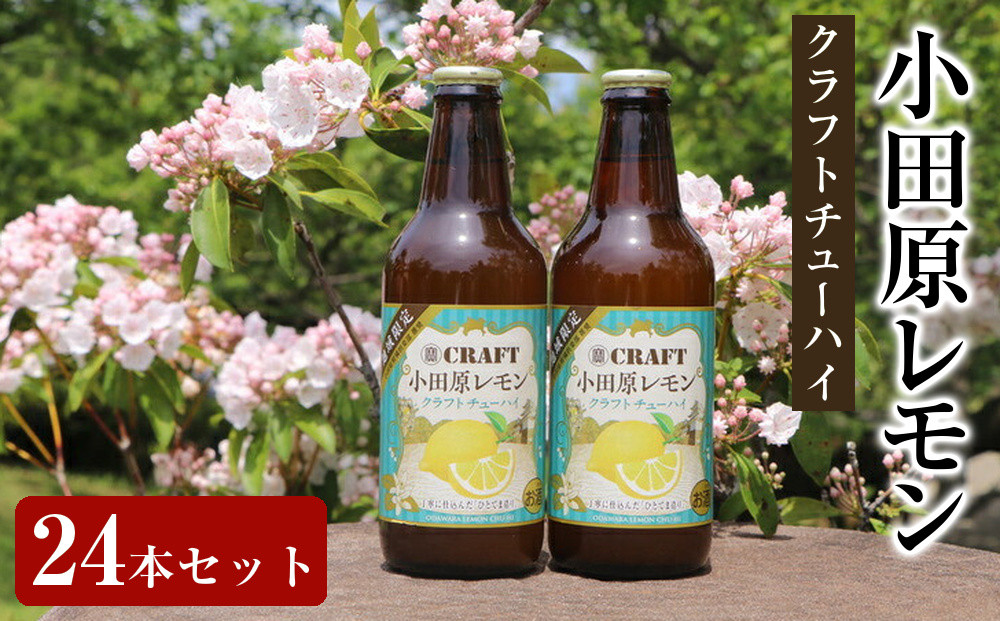 小田原レモンクラフトチューハイ　24本セット| チューハイ レモン お酒 ドリンク 飲み物 飲み比べ ギフト プレゼント 神奈川県 小田原市 142069_AX019