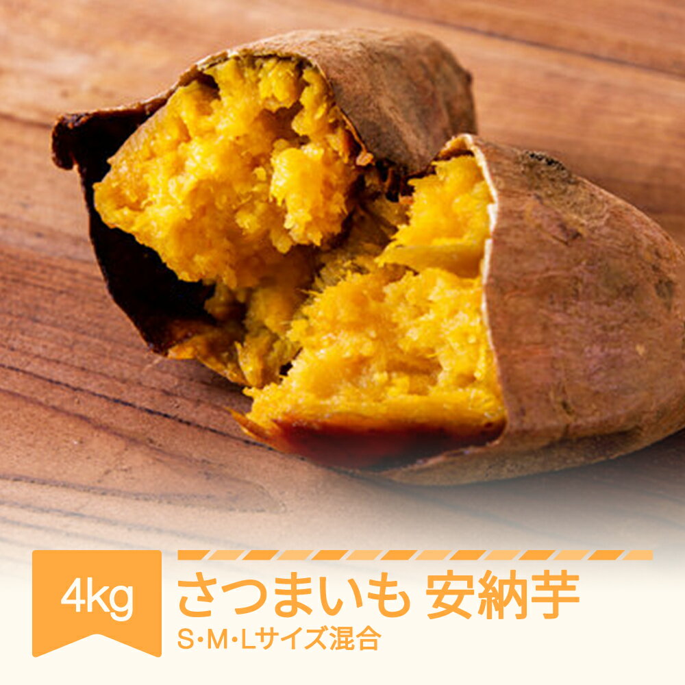 【ふるさと納税】さつまいも 安納芋 村山市産 約4kg 2025年産 令和7年産 送料無料 山形県産 ※沖縄・離島への配送不可