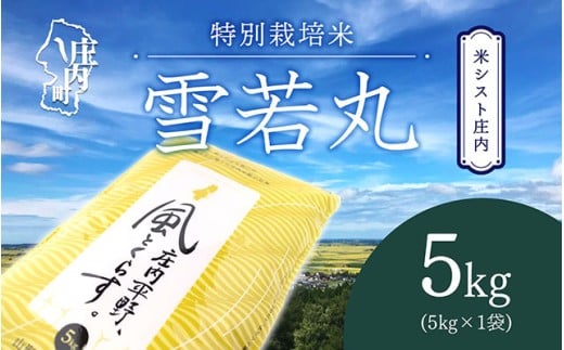 米シスト庄内 庄内平野、風と暮らす 雪若丸 5kg 特別栽培米 令和7年産 2025年産 ブランド米 コシヒカリの原点、亀の尾発祥の地 庄内