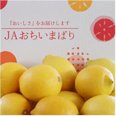 【ふるさと納税】【先行予約】瀬戸内レモン小箱　約2.5K　JA選果品　2L～Mサイズ【1644255】
