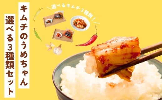 キムチ選べる3種類セット キムチのうめちゃん キムチ 手作り 本場の味 コクうま 白菜 ニンニク ごはんのお供 ピリ辛 お米 ごはん ビール 酒 おつまみ 漬物 野菜 BBQ 焼肉 惣菜 キムチチャーハン キムチ鍋 発酵食品  韓国 奈良県 奈良市 なら 6-009