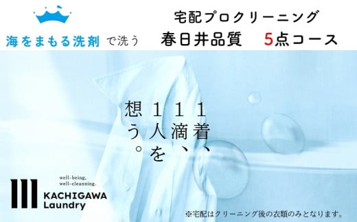 【ふるさと納税】宅配クリーニング　春日井品質（5点コース）