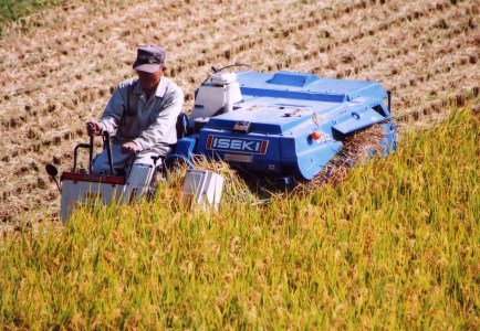 【令和7年産】特別栽培米「吉四六米（ヒノヒカリ）」（15kg）玄米