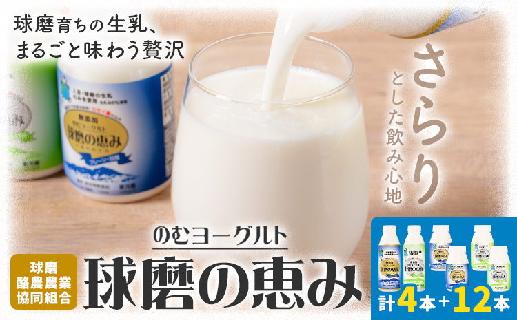 球磨の恵み のむヨーグルト 450g×4本 150g×12本 球磨酪農農業協同組合《30日以内に出荷予定(土日祝除く)》熊本県 球磨郡 山江村 球磨の恵みのむヨーグルト 加糖 砂糖不使用 熊本県産 生乳 使用---ym_ckrkmny_30d_r7_14500_16p---