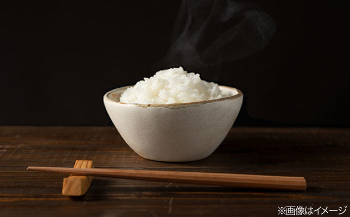 【全3回定期便】農薬を使わずに育てた 山つき 5kg 夢つくし 吉富町/(株)やました [BGBX014] 白米 精米 米