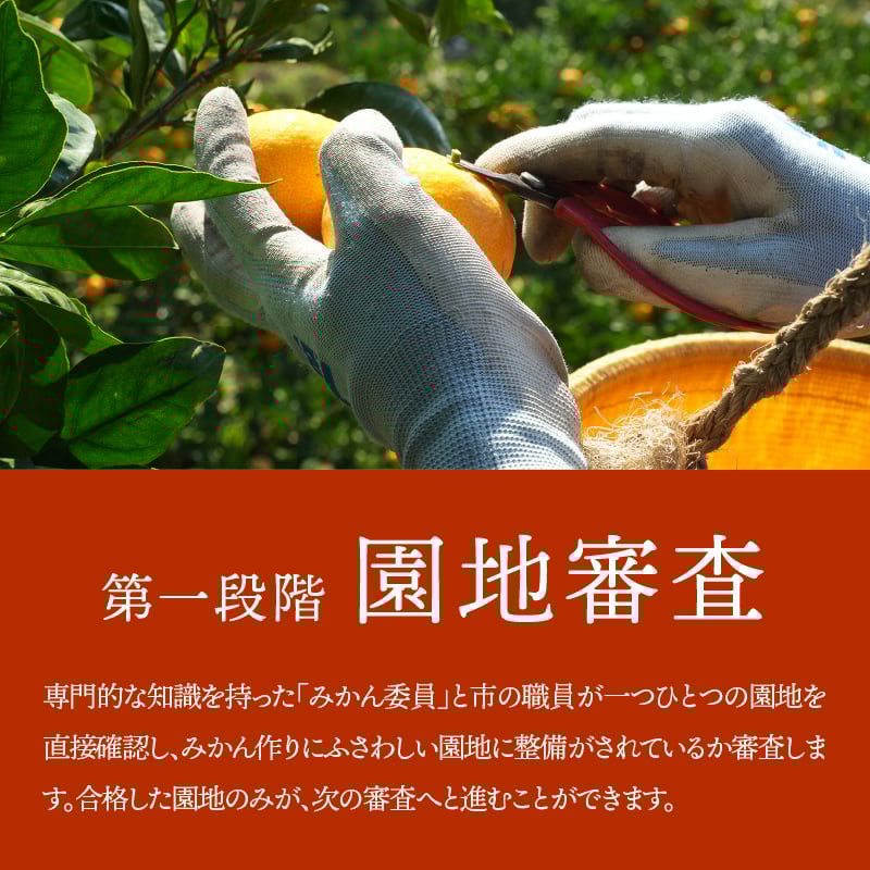 ※画像はイメージです