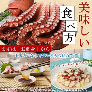 【新鮮なたこを塩茹で！シンプルだから美味しい！】久慈産茹でタコ1㎏