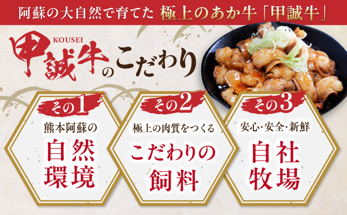 熊本和牛あか牛ホルモン 1kg 【有限会社 三協畜産】 [YCG114]