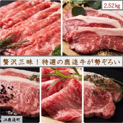 鹿追牛　スペシャルセット 2,520g 【0151】【配送不可地域：離島】