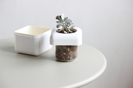 根腐れ防止！多肉植物専用の室内用植木鉢「サボテンハウス(R)」 かわいいキューブ型植木鉢 日用品 贈答品 プレゼント ギフト _GD01 _GD02